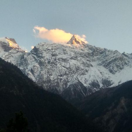 Wanderers Homestay -All Mountain Facing Rooms Kalpa Kültér fotó