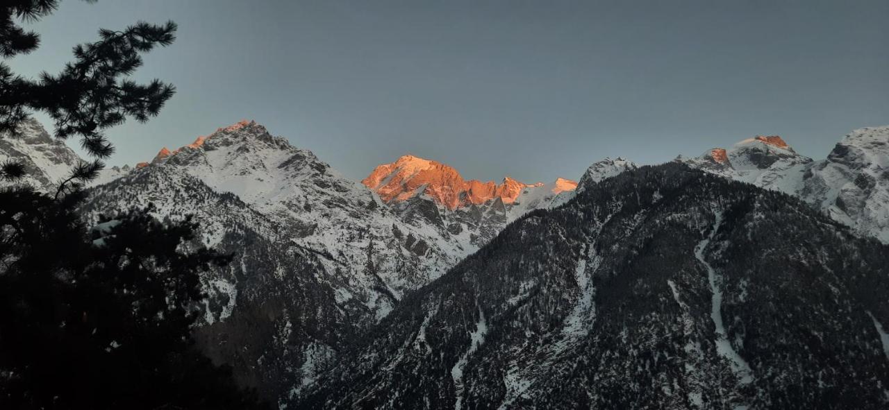 Wanderers Homestay -All Mountain Facing Rooms Kalpa Kültér fotó